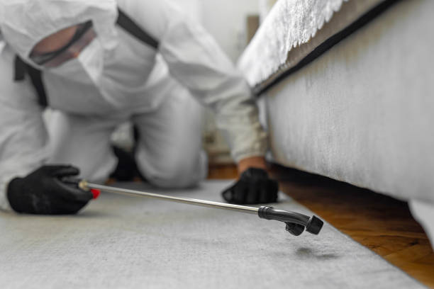 Professional Bed Bug Control technician working in Chattanooga Valley, GA